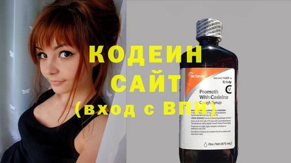 гашик Дмитриев