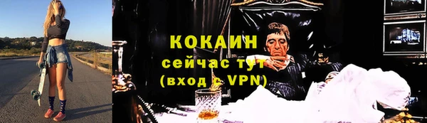 мдпв Гусь-Хрустальный