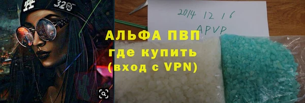 мдпв Гусь-Хрустальный