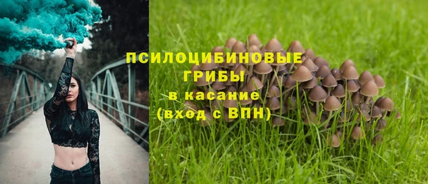 мдпв Гусь-Хрустальный