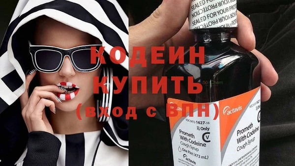 гашик Дмитриев
