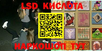 Альфа ПВП Кингисепп