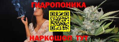 прущие грибы Кинель