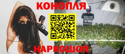 Альфа ПВП Кингисепп