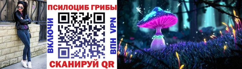 Псилоцибиновые грибы Psilocybe  Зеленокумск 